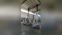 Rail Tracks Running Electric Mobile Gantry Crane Portable Crane Price